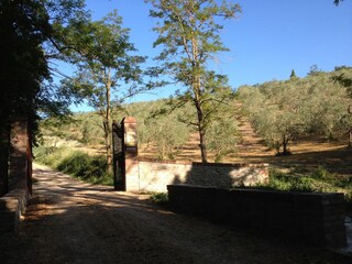 Casale Chianni Documento 27