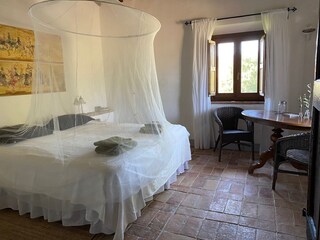 Casale Chianni Caratteristiche 9