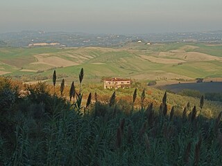 Casale Chianni Registrazione all'aperto 3