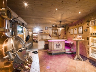 Appartamento per vacanze Hippach Registrazione all'aperto 6