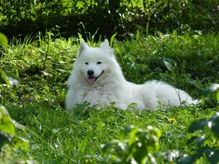 Fattoria Vintl Registrazione all'aperto 15