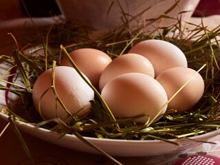 Fattoria Vintl Registrazione all'aperto 14