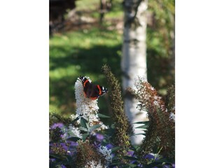 Boerderij Vintl Buitenaudio-opname 16