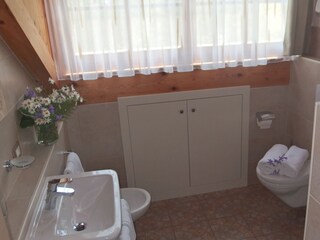 Fattoria Vintl Caratteristiche 21