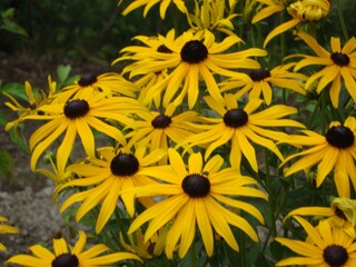 Boerderij Vintl Document 39