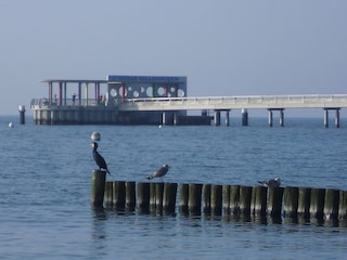 Kellenhusener Seebrücke