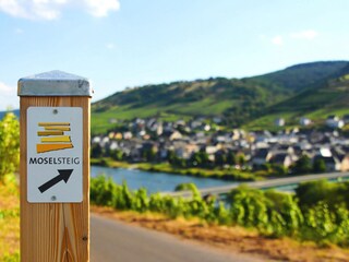 Moselsteig