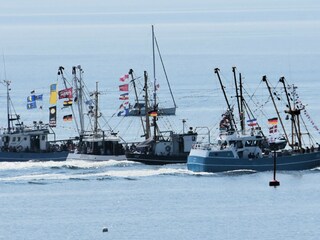 Kutterregatta