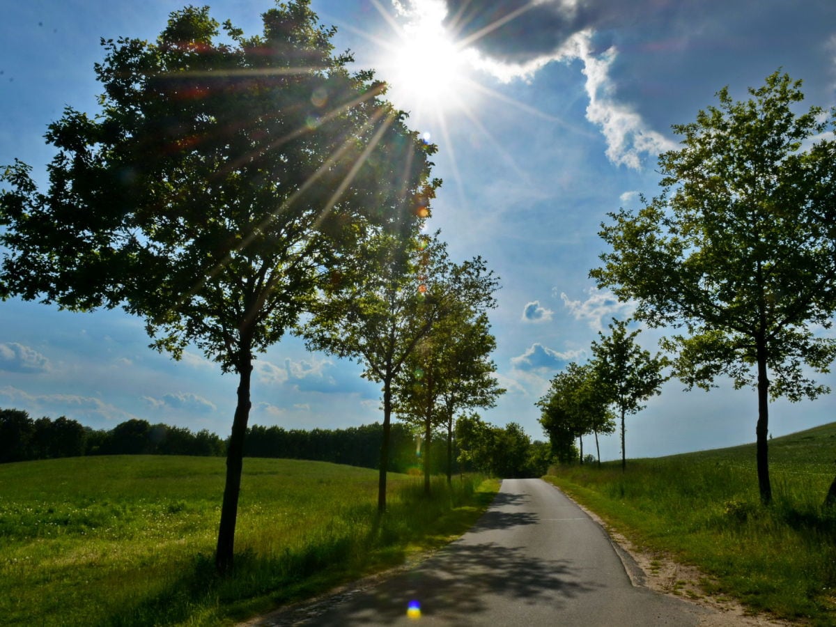 Ferienwohnung Kratzeburg Umgebung 9