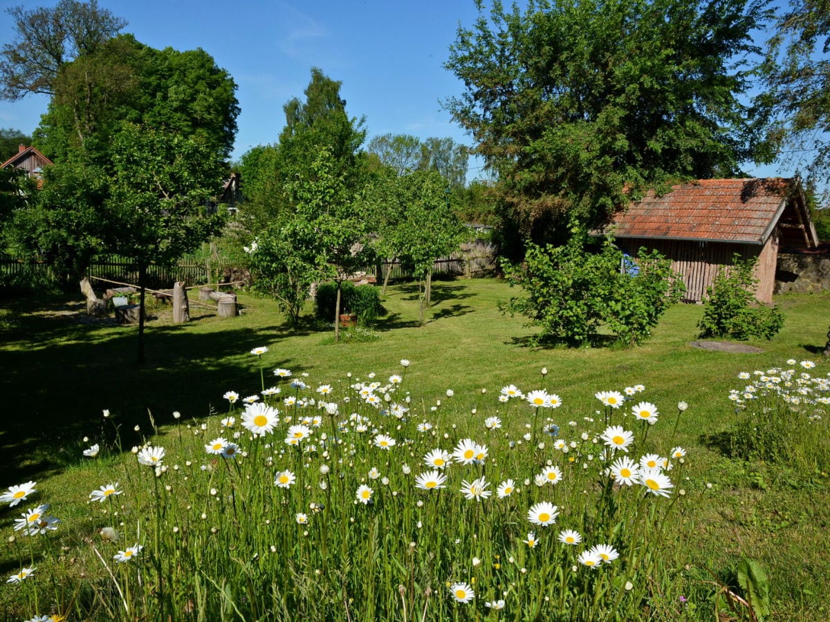 Blick in den Garten