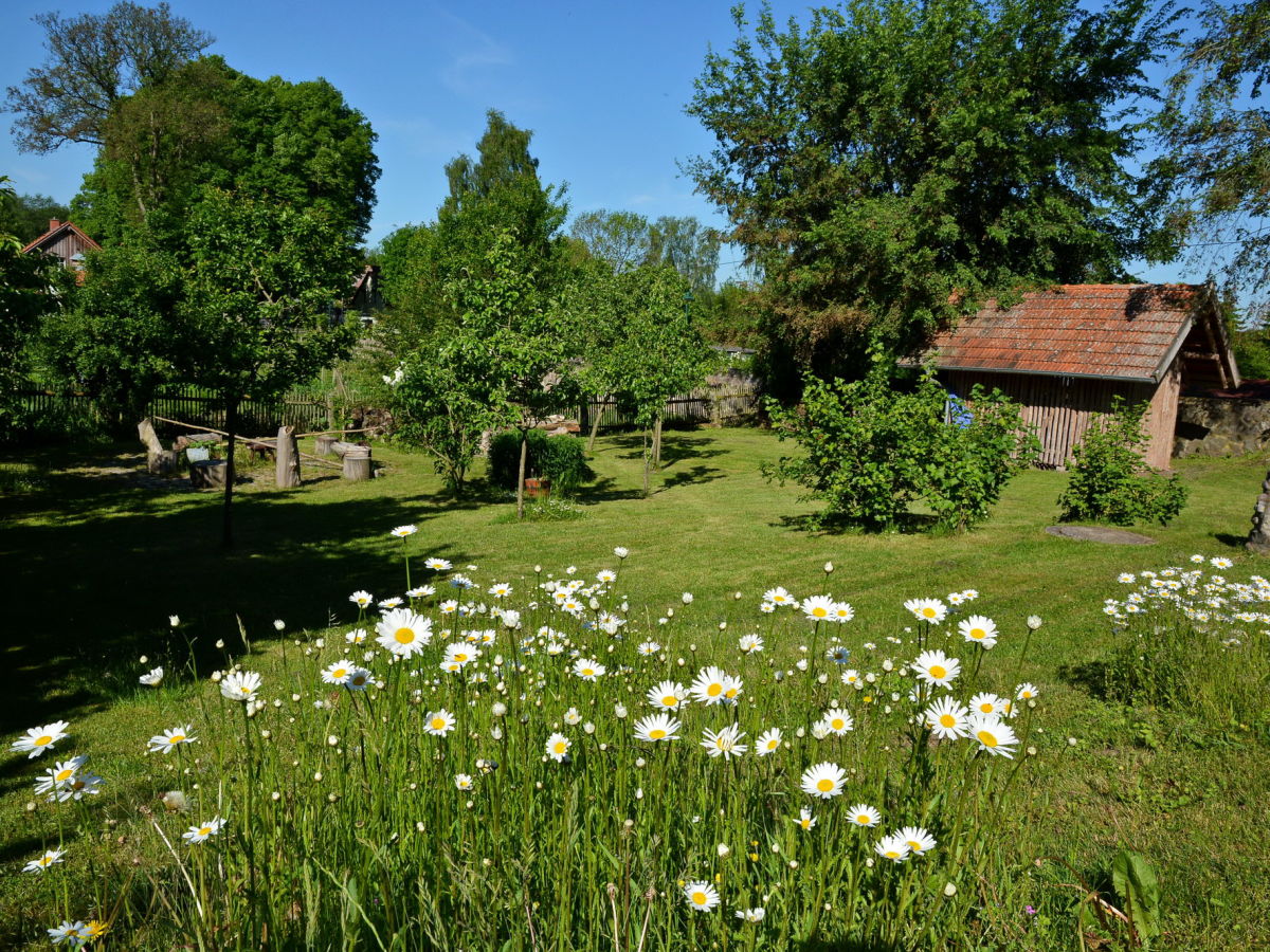 Blick in den Garten