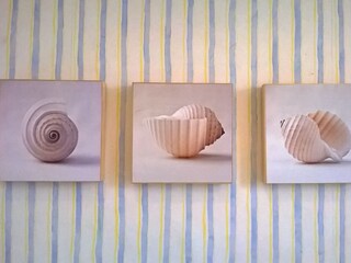 Casa per le vacanze Bergen aan Zee Caratteristiche 15