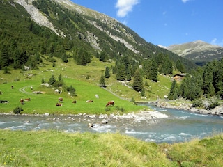 Chalet de ski Hochkrimml  21
