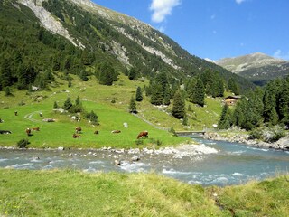 Chalet per sciare Hochkrimml Ambiente 19