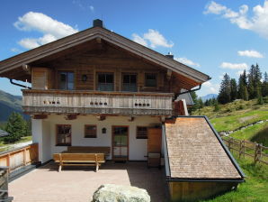 Skihütte Chalet Lang à Hochkrimml pour 6 personnes