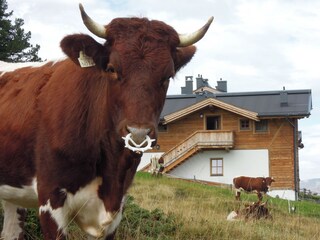 Chalet per sciare Hochkrimml Registrazione all'aperto 6