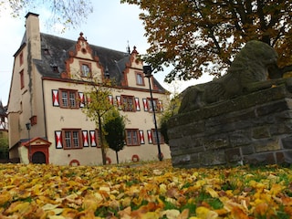 Ferienwohnung Bruttig-Fankel  15