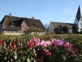 Historic Captain's house on the Wadden Sea