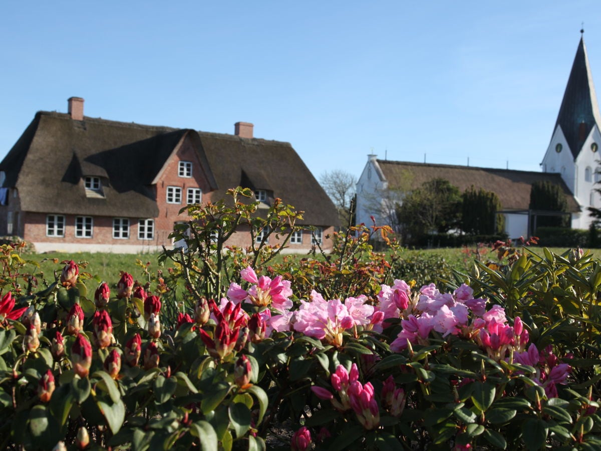 Historic Captain's house on the Wadden Sea