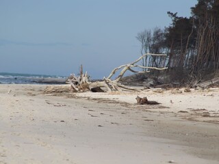 Holiday house Prerow Environment 34