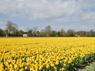 Die Aussicht im Frühling