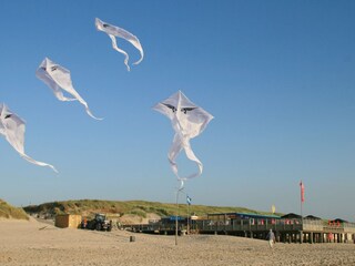 Drachenfliegen am Strand, Eureka 106. St.Maartenszee