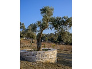 Villa Pitsidia Außenaufnahme 7