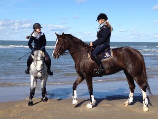 Appartamento per vacanze Oostkapelle Ambiente 16