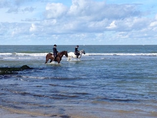 Ferienwohnung Oostkapelle Umgebung 17
