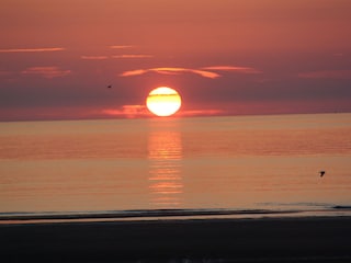 Ferienwohnung Oostkapelle Umgebung 13