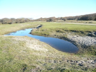 Holiday apartment Oostkapelle Environment 14