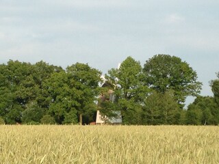 Casa per le vacanze Schneverdingen Ambiente 21