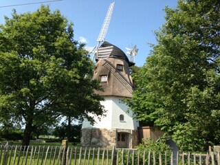 Casa per le vacanze Schneverdingen Registrazione all'aperto 4