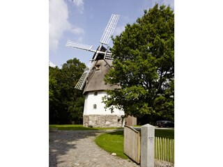 Casa de vacaciones Schneverdingen Grabación al aire libre 3