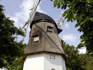 Maison de vacances L'ancien moulin - Schneverdingen - image1