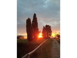 Casa per le vacanze Schneverdingen Ambiente 23