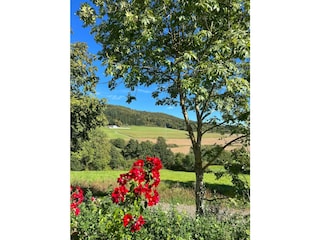 Talblick