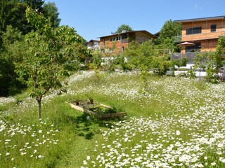 Vakantieappartement Söll Omgeving 8