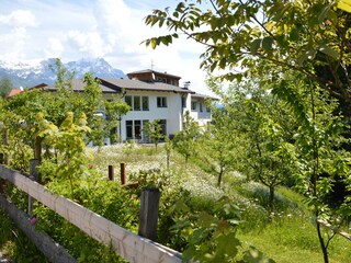 Vakantieappartement Söll Omgeving 9