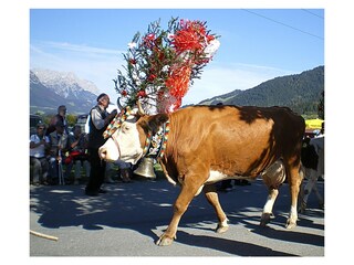 Holiday apartment Söll Environment 14