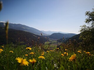 Appartamento per vacanze Kiens Registrazione all'aperto 5