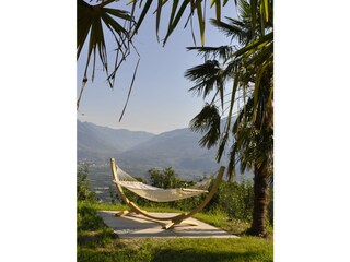 Fattoria Lana Registrazione all'aperto 12