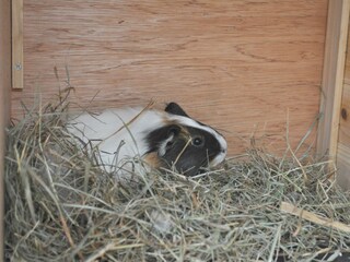 Fattoria Lana Ambiente 19