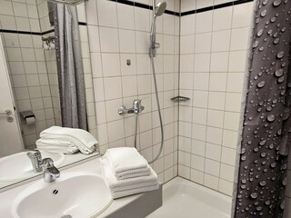 Apartamento Hinterzarten Características 13