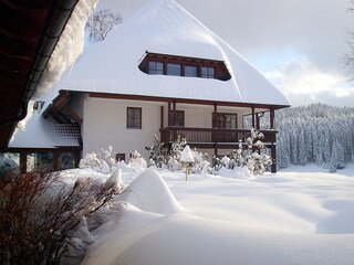 Appartamento Hinterzarten Registrazione all'aperto 2