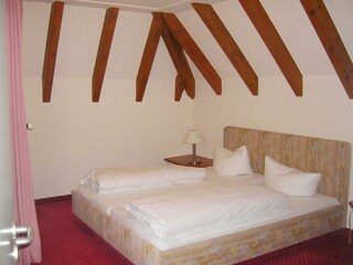 Apartamento Hinterzarten Características 7