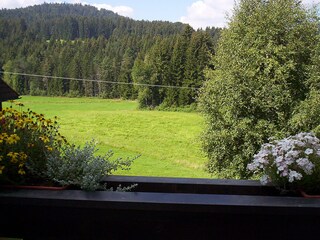 Apartamento Hinterzarten Entorno 15