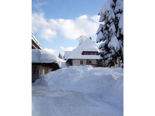 Apartamento Hinterzarten Entorno 17