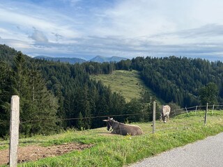 Allgäu