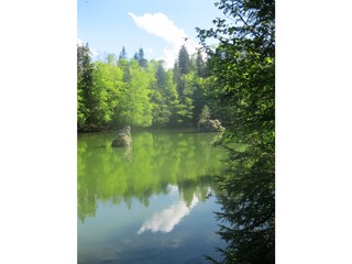 Appartamento per vacanze Fügen Ambiente 16